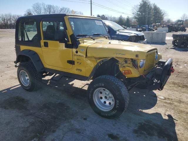 2002 Jeep Wrangler / TJ X