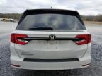 2021 Honda Odyssey EXL