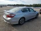 2017 Honda Accord EXL