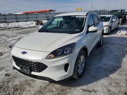 Cars With No Damage for sale at auction: 2021 Ford Escape SE