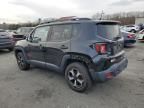 2019 Jeep Renegade Trailhawk