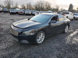 Nissan salvage cars for sale: 2013 Nissan Maxima S