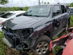 Salvage cars for sale at Kapolei, HI auction: 2023 Toyota 4runner SR5