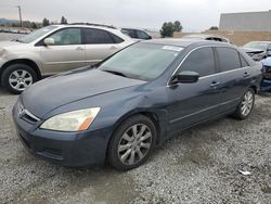 Honda Vehiculos salvage en venta: 2006 Honda Accord EX