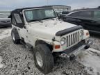 1999 Jeep Wrangler / TJ SE