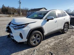 Salvage cars for sale at York Haven, PA auction: 2024 Toyota Rav4 XLE