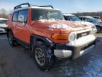 2013 Toyota FJ Cruiser