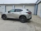 2024 Lexus NX 350 Luxury