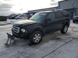 Vehiculos salvage en venta de Copart Wayland, MI: 2011 Ford Escape Limited