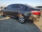 2008 Lexus LS 460