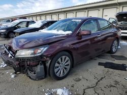 Salvage cars for sale at Louisville, KY auction: 2015 Honda Accord EXL