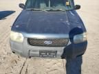 2001 Ford Escape XLT