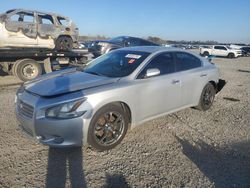 Salvage cars for sale at Lumberton, NC auction: 2014 Nissan Maxima S