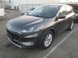 Salvage cars for sale at Vallejo, CA auction: 2020 Ford Escape SE