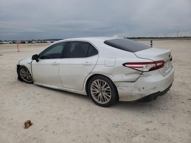 2019 Toyota Camry Hybrid