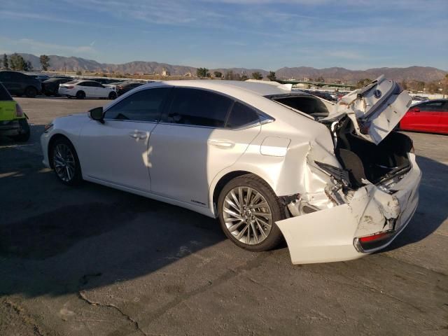 2021 Lexus ES 300H Luxury