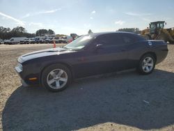 Salvage cars for sale from Copart Lumberton, NC: 2013 Dodge Challenger R/T