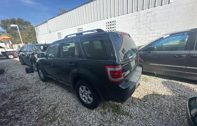 2010 Ford Escape Limited