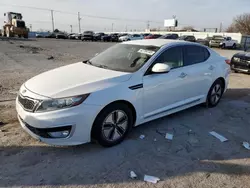 KIA Optima salvage cars for sale: 2012 KIA Optima Hybrid