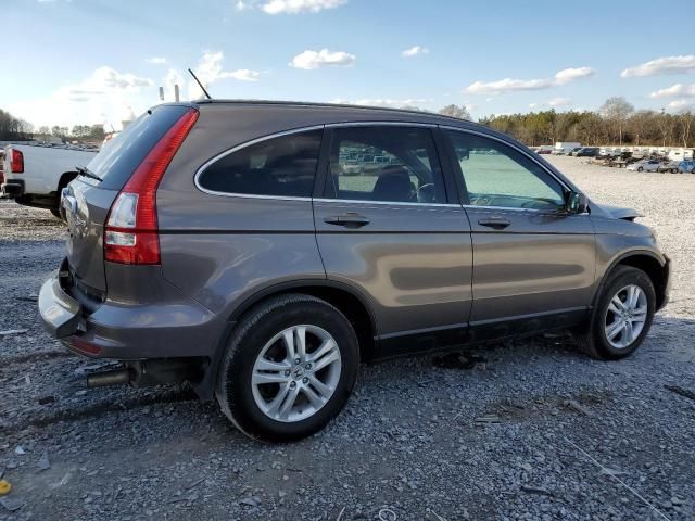 2010 Honda CR-V EXL