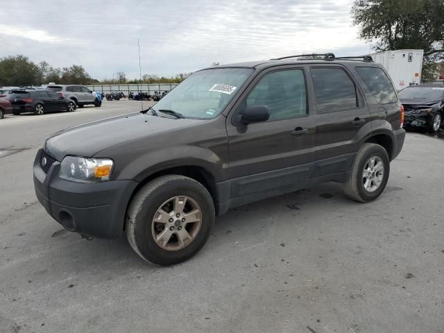 2007 Ford Escape XLT