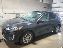 Salvage cars for sale at Blaine, MN auction: 2020 Ford Escape SE