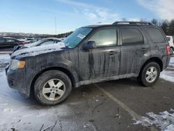 Salvage cars for sale from Copart Brookhaven, NY: 2011 Ford Escape XLT