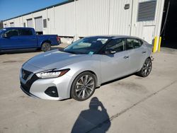 Salvage cars for sale at Gaston, SC auction: 2019 Nissan Maxima S