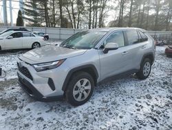 Salvage cars for sale at Windsor, NJ auction: 2024 Toyota Rav4 LE