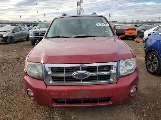 2008 Ford Escape XLT