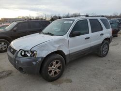 Salvage cars for sale from Copart Louisville, KY: 2007 Ford Escape XLT