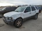 2007 Ford Escape XLT