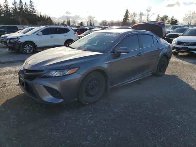 2019 Toyota Camry Hybrid