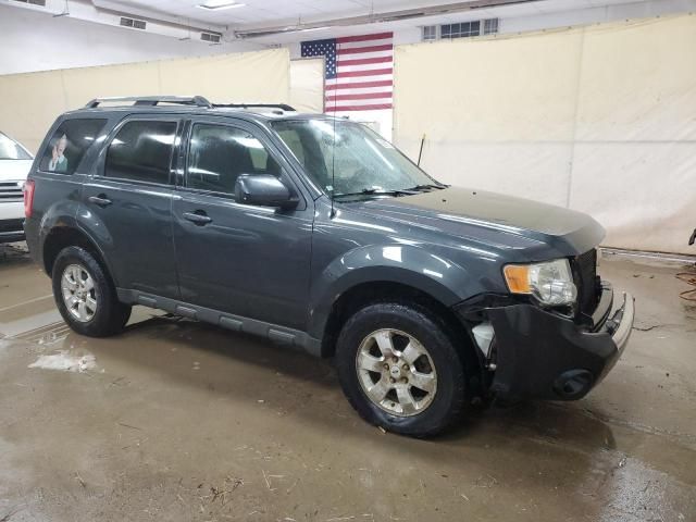 2009 Ford Escape Limited