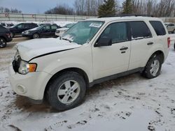 Vehiculos salvage en venta de Copart Davison, MI: 2010 Ford Escape XLT