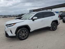 Salvage cars for sale at West Palm Beach, FL auction: 2023 Toyota Rav4 XLE Premium