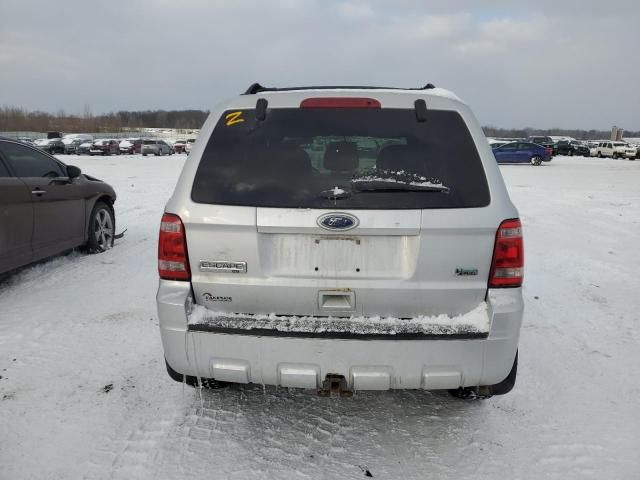 2012 Ford Escape XLT