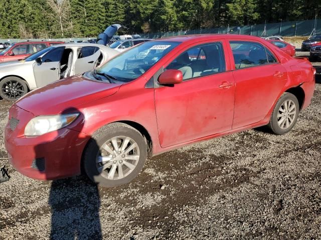 2010 Toyota Corolla Base