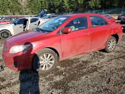 Salvage cars for sale at Graham, WA auction: 2010 Toyota Corolla Base