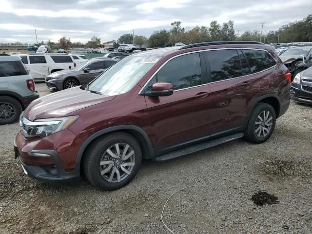 2019 Honda Pilot EXL