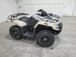 Salvage motorcycles for sale at Tulsa, OK auction: 2023 ATV Arctic Cat