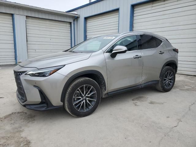 2024 Lexus NX 350 Luxury