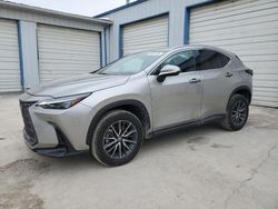 Lots with Bids for sale at auction: 2024 Lexus NX 350 Luxury