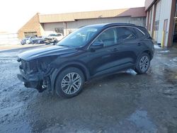 Salvage cars for sale at Fort Wayne, IN auction: 2021 Ford Escape SEL