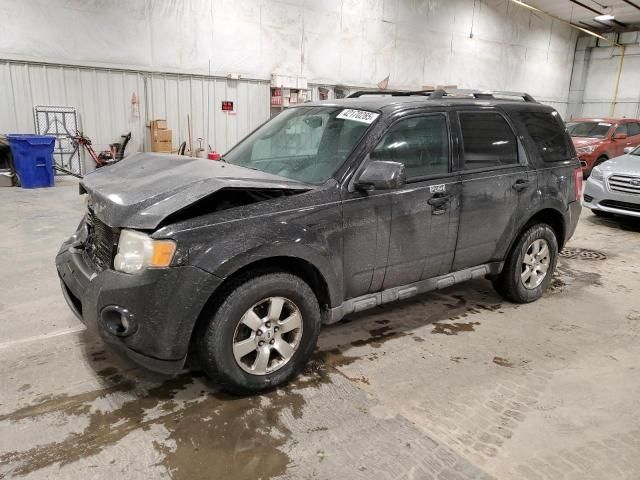 2010 Ford Escape Limited