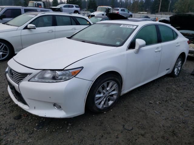 2014 Lexus ES 300H