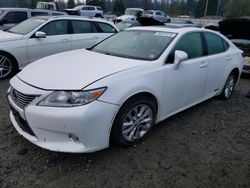 Hybrid Vehicles for sale at auction: 2014 Lexus ES 300H