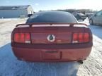 2009 Ford Mustang GT