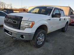 2011 Ford F150 Supercrew en venta en Spartanburg, SC