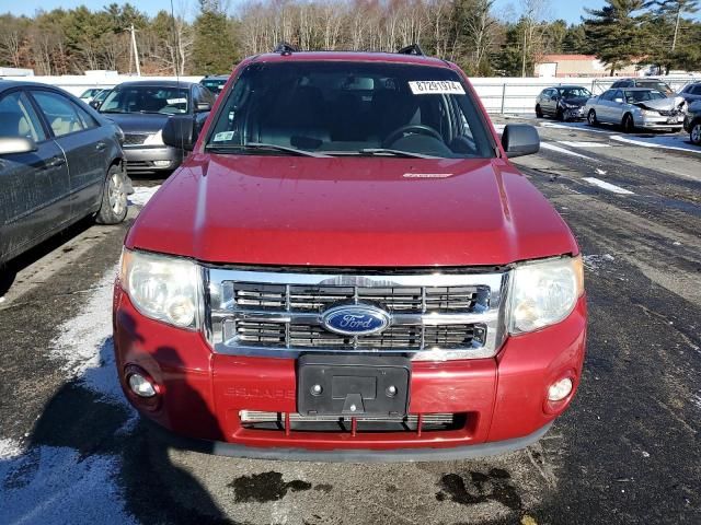 2011 Ford Escape XLT